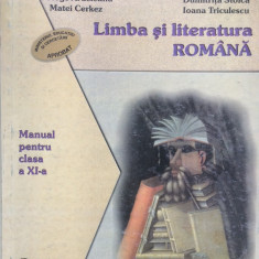 LIMBA SI LITERATURA ROMANA. MANUAL CLASA A XI-A - Nicolae Manolescu