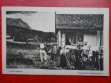 Carte postala - Port national Romanesc