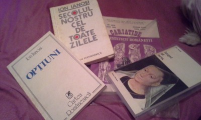 ION IANOSI//OPTIUNI /HEGEL SI ARTA/SECOLUL NOSTRU CEL DE TOATE ZILELE foto