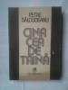 (C320) PETRE SALCUDEANU - CINA CEA DE TAINA, 1984