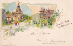CASA REGALA SALUTARI DIN ROMANIA CASTELUL PELES SINAIA CIRC.1899 LITOGRAFIE foto