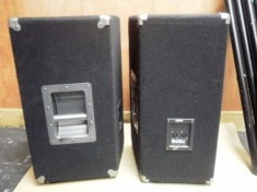 Boxe Profesionale Prosound PSP15 version 2 foto