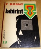 Labirint - P. Sestakov