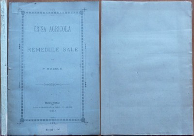P. Buescu , Criza agricola si remediile sale , Bucuresti , 1889 , editia 1 foto