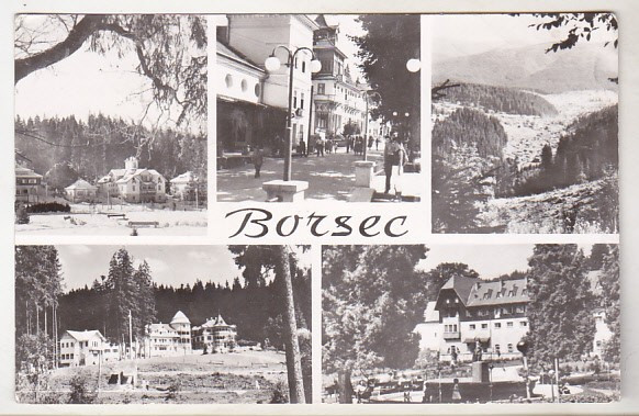 bnk cp Borsec - Vedere - circulata