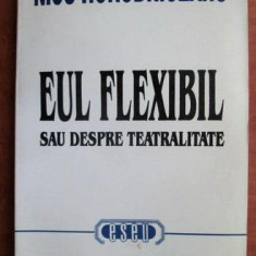 Eul flexibil sau despre teatralitate : (jurnal-eseu) / Nicu Horodniceanu