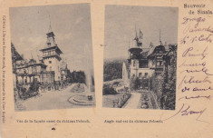 CASTELUL REGAL PELES , VEDEREA FATADEI DE EST SI SUD-EST SOUVENIR DE SINAIA 1900 foto