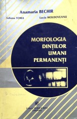 MORFOLOGIA DINTILOR UMANI PERMANENTI - Anamaria Bechir foto