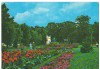 CPI (B7208) CARTE POSTALA - BAILE FELIX - VEDERE DIN PARC, Circulata, Fotografie