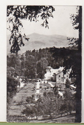 bnk cp Sangeorz Bai - vedere din parc - circulata foto