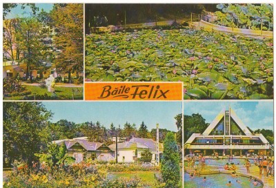CPI (B7203) CARTE POSTALA - BAILE FELIX - COMPLEX UGSR, LACUL CU LOTUSI, APOLLO foto