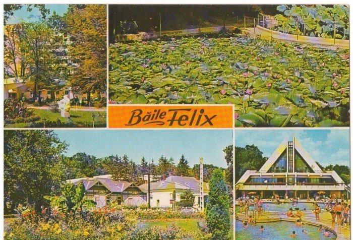 CPI (B7203) CARTE POSTALA - BAILE FELIX - COMPLEX UGSR, LACUL CU LOTUSI, APOLLO