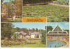 CPI (B7201) CARTE POSTALA - BAILE FELIX - COMPLEX UGSR, LACUL CU LOTUSI, APOLLO, Circulata, Fotografie