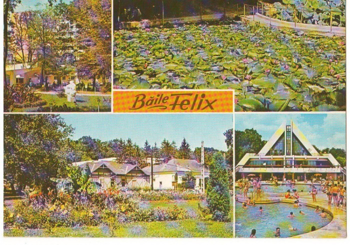 CPI (B7201) CARTE POSTALA - BAILE FELIX - COMPLEX UGSR, LACUL CU LOTUSI, APOLLO