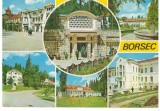 CPI (B7226) CARTE POSTALA - BORSEC. 1976