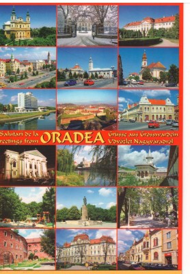 CPI (B7271) CARTE POSTALA - SALUTARI DIN ORADEA. MOZAIC foto