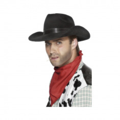 Palarie Cowboy neagra - Carnaval24 foto