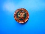 HOPCT ROMANIA INSIGNA ELECTROCONTACT BOTOSANI 1985 -X ANI -