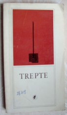 TREPTE:POEZIE SOCIAL-MILITANTA ROMANEASCA&#039;71:Stelaru/Gellu Naum/Nichita Stanescu