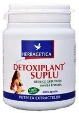 DETOXIPLANT SUPLU 70CPS foto