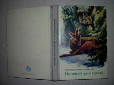 DEMONSTENE BOTEZ - HOINARELI PRIN NATURA(coperti cartonate) foto