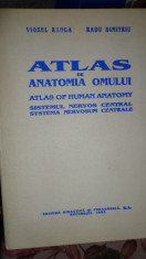 Atlas de anatomia omului cu numeroase ilustratii- Ranga foto