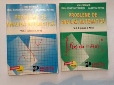 PROBLEME DE ANALIZA MATEMATICA Vol.I si II*Ion Petrica*Emil Constantinescu foto