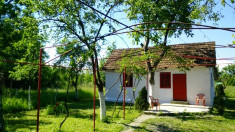 Casa de vacanta si teren 1650 mp in localitatea Silindia, Arad foto