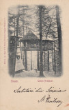 CUIBUL PRINTESEI , SINAIA , CIRCULATA AUG.*902