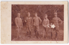 Fotografie grup militari cu decoratie aprox. 1915 Austria Ungaria foto