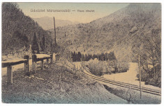 #1727- Romania, Maramures, c.p. circ. 1915: Peisaj montan, raul Tisza, sine c.f. foto