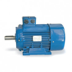 E.P MOTOR TRIFAZAT 9.2KW / 132GAB / 3000ROT foto