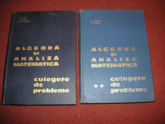 D. Flondor, N. Donciu - Algebra si analiza matematica (2 volume) foto