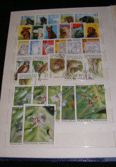 Lot de peste 700 timbre Romania Cuba Japonia etc(361) foto