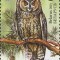 BELARUS 2015, Fauna - Pasari, serie neuzata, MNH