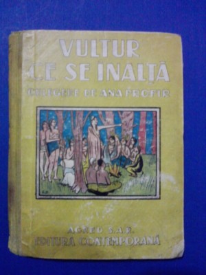 Vultur ce se inalta - Ana Profir / R4P3F foto