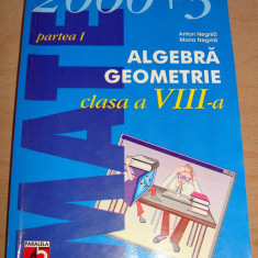 2000+3 Algebra Geometrie partea I - Anton Negrila / Maria Negrila