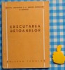 Executarea betoanelor