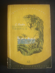 L. RODIN - CALATORIE LA TROPICE foto