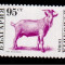 BULGARIA 1992, Fauna, serie neuzata, MNH