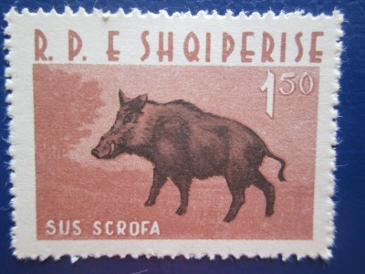 TIMBRE ALBANIA MNH foto