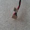 MUFA ALIMENATRE TOSHIBA C70 C70D C75 C75D C70D-A PERFECT FUNCTIONAL