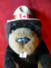 Papusa Sergeant Bucky Beaver - Mascota Politiei Montane Canada , h= 20cm foto