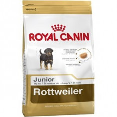 Royal Canin Rottweiler Junior 12 Kg Livrare Gratuita foto