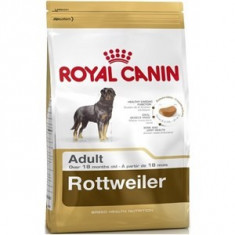 Royal Canin Rottweiler Adult 12 Kg Livrare Gratuita foto