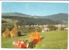 @carte postala(ilustrata) -Vatra Dornei, Circulata, Printata