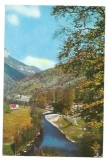 @carte postala(ilustrata) -Valea Cernei