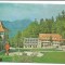 @carte postala(ilustrata) -PREDEAL-Paraul Rece