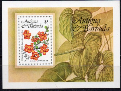 ANTIGUA&amp;amp;amp;BARBUDA 1984, Flora, serie neuzata, MNH foto