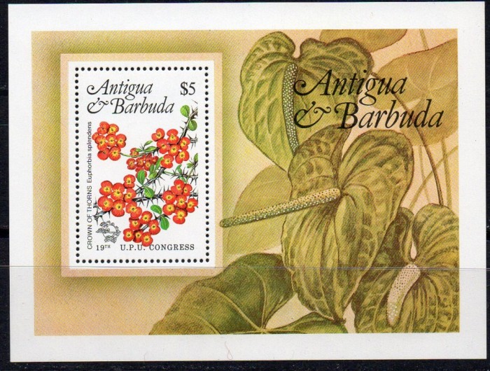 ANTIGUA&amp;amp;BARBUDA 1984, Flora, serie neuzata, MNH